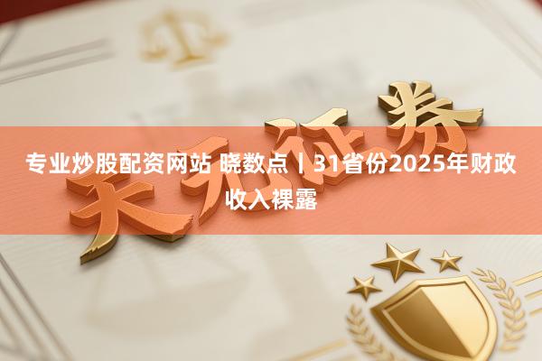 专业炒股配资网站 晓数点丨31省份2025年财政收入裸露