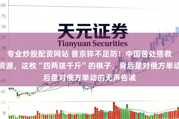 专业炒股配资网站 普京猝不足防！中国苦处搭救乌克兰电力资源，这枚“四两拨千斤”的棋子，背后是对俄方举动的无声告诫