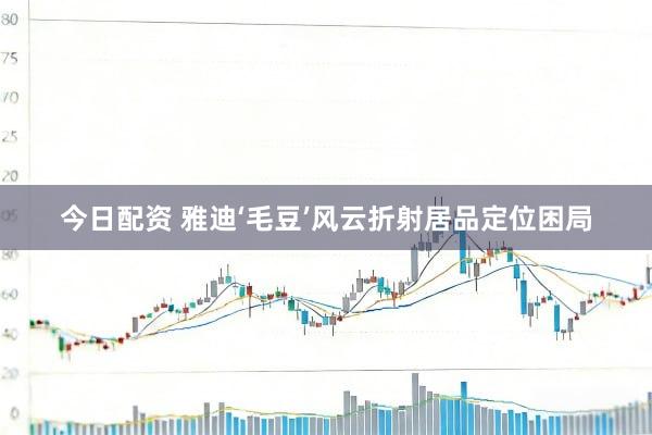 今日配资 雅迪‘毛豆’风云折射居品定位困局