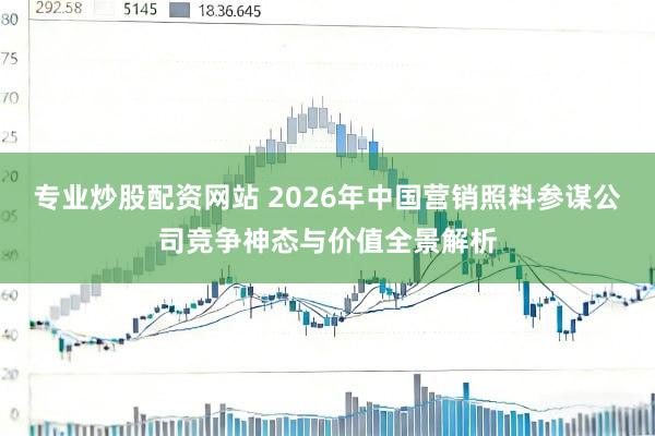 专业炒股配资网站 2026年中国营销照料参谋公司竞争神态与价值全景解析