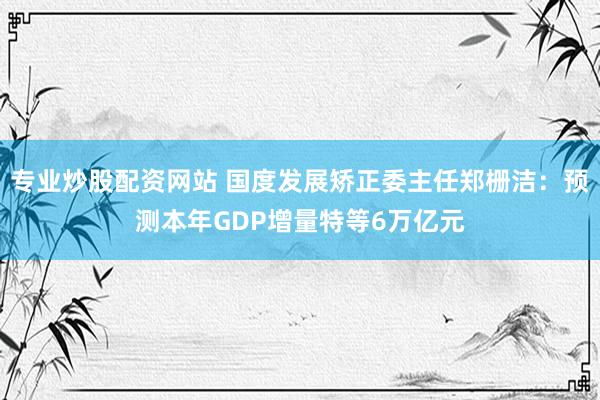 专业炒股配资网站 国度发展矫正委主任郑栅洁：预测本年GDP增量特等6万亿元