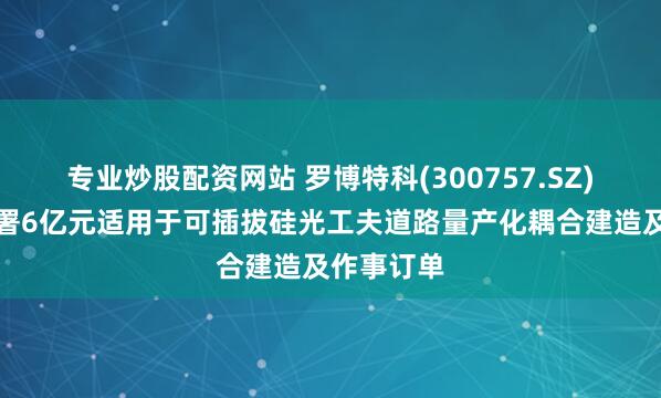 专业炒股配资网站 罗博特科(300757.SZ)子公司签署6亿元适用于可插拔硅光工夫道路量产化耦合建造及作事订单