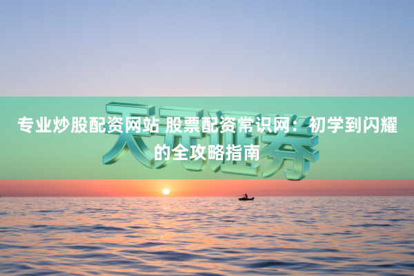专业炒股配资网站 股票配资常识网：初学到闪耀的全攻略指南